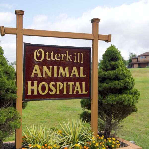 otterkill animal hospital street sign
