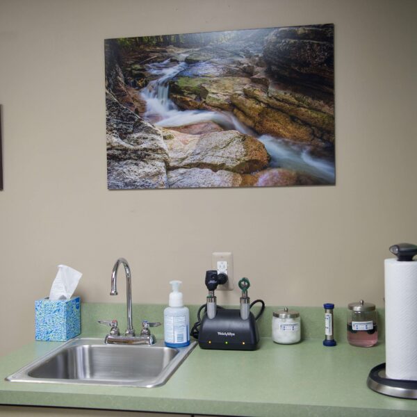 sink area in the pet wellness exam room at otterkill animal hospital
