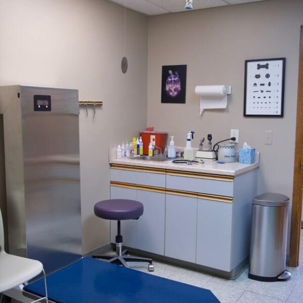 pet wellness exam room at otterkill animal hospital