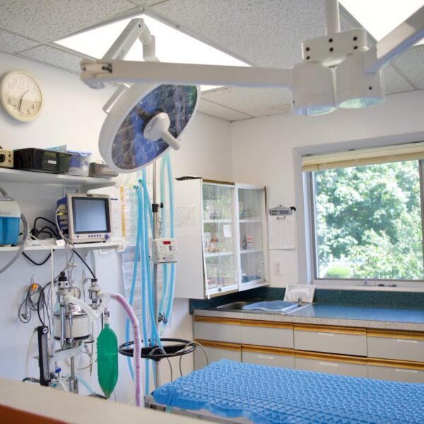 veterinary radiology and pet surgery suite at otterkill animal hospital