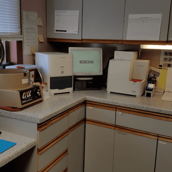 in-house veterinary laboratory for pet blood work testing
