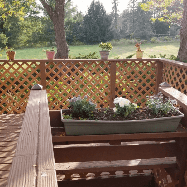 ramp at otterkill animal hospital facing a large grassy field surrounded by trees