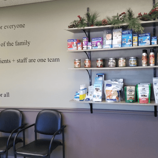 waiting room at otterkill animal hospital veterinary clinic with a closer look at the wall shelves featuring various pet wellness care products